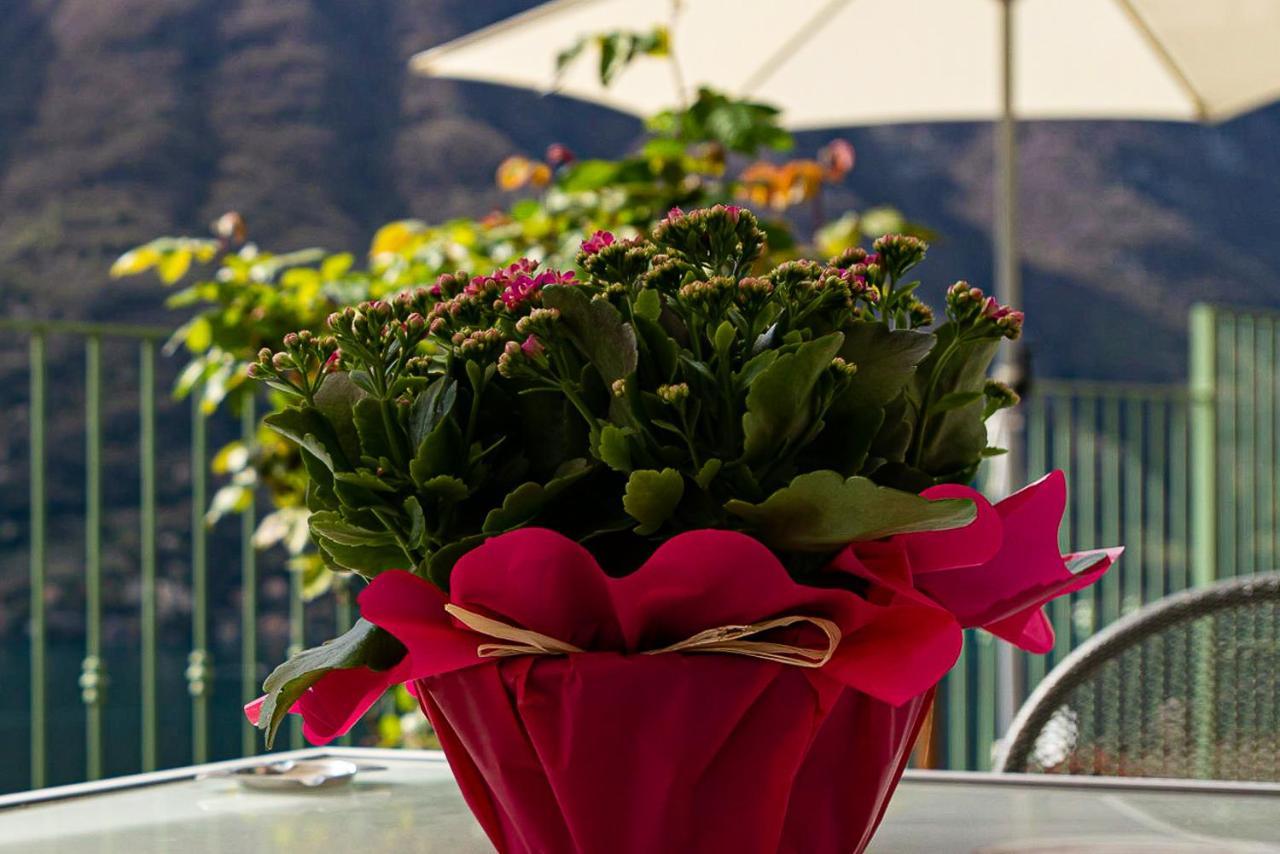 Romantic Home - Lake Como Nesso Exterior foto